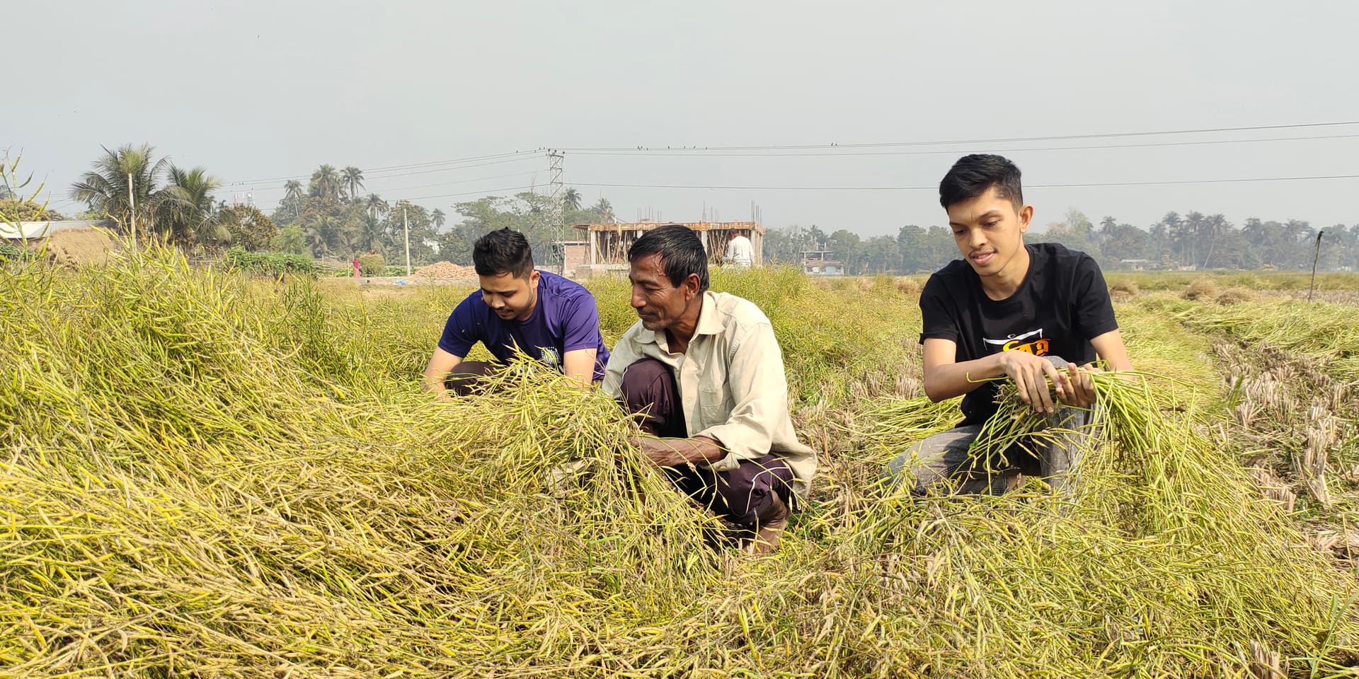 Sustainable Agriculture Development