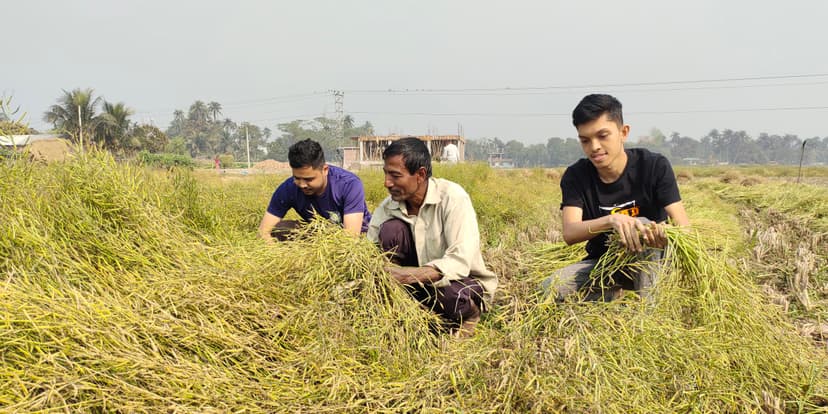 Harvesting success together